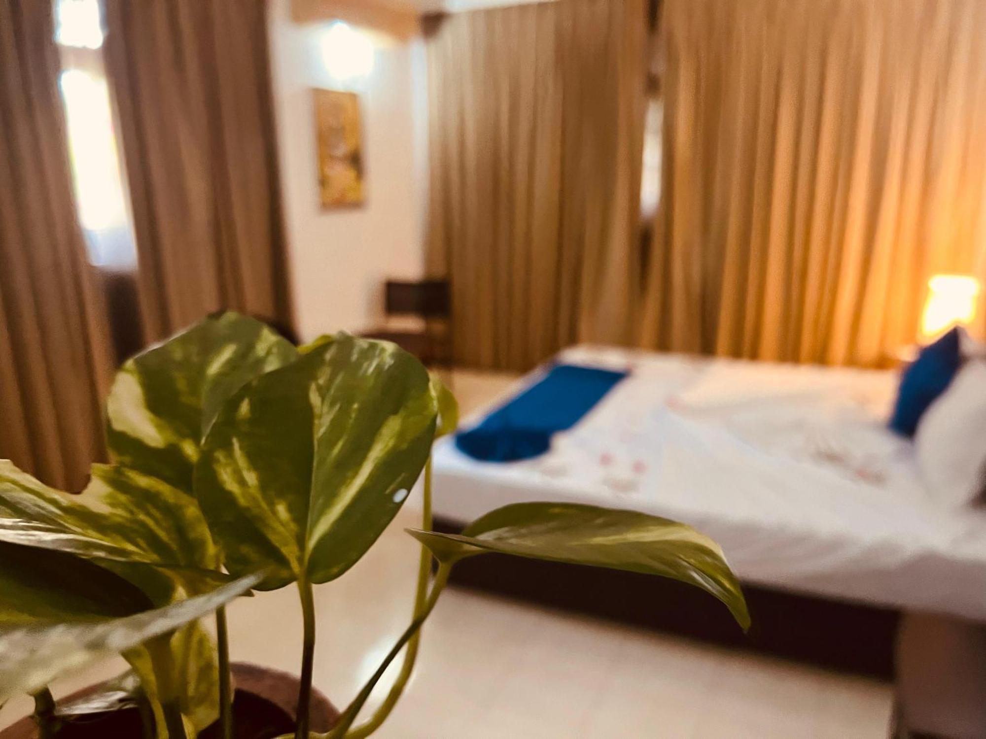 נגומבו Ocean Beauty Guest House מראה חיצוני תמונה